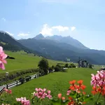 بيت ضيافة Alpenrose-apart 3*